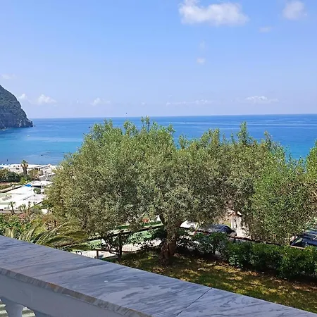 Apartment La Dea Del Mare Forio (Isola d'Ischia)